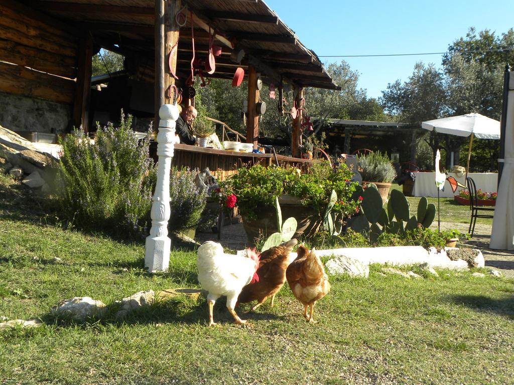 Country Resort Il Frassine Rignano sullʼArno エクステリア 写真