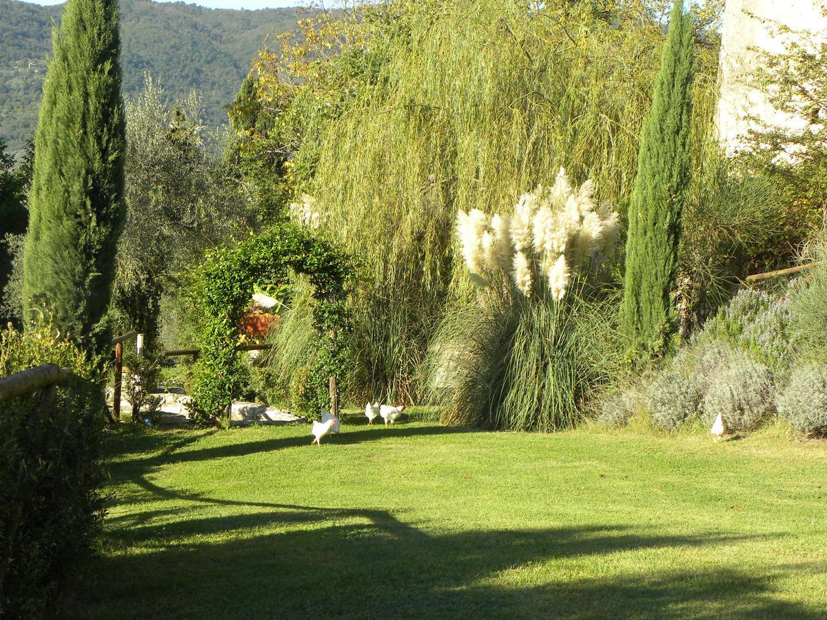 Country Resort Il Frassine Rignano sullʼArno エクステリア 写真